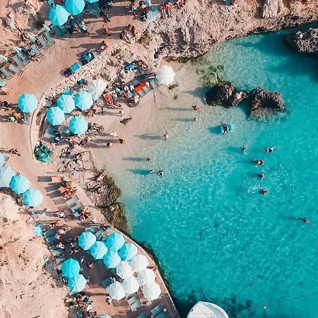 Fancy Modern - W/ 2br